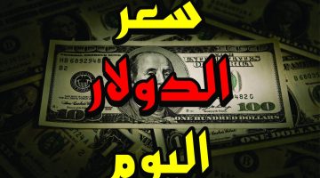 “الدولار يرفع الراية” 100 دولار كم جنيه مصري في السوق السوداء؟ تعرف علي سعر الدولار مقابل الجنيه اليوم الأربعاء 9 أكتوبر 2024 في البنوك والسوق السوداء