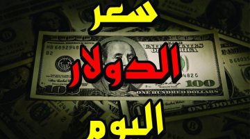 “العملة الأمريكية مرتفعة” سعر الدولار اليوم مقابل الجنيه المصري في السوق السوداء الاحد 13 أكتوبر 2024 وفي مختلف البنوك المصرية