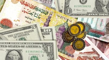 “استثمر فلوسك” سعر الدولار اليوم البنك المركزي اليوم الاربعاء الموافق 9 أكتوبر 2024 وفي السوق السوداء