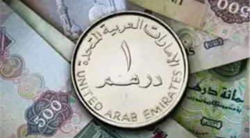 “في بداية تعاملات اليوم” سعر الدرهم الإماراتي مقابل الجنيه المصري اليوم الاثنين 14 أكتوبر 2024