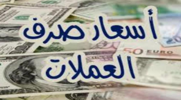 ارتفاع أسعار العملات في السوق السوداء اليوم الأربعاء 9 أكتوبر 2024 في مصر استقرار نسبي مقابل الجنيه المصري