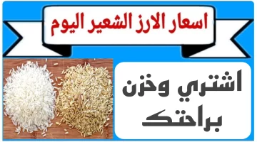 سعر طن الأرز الشعير بأنواعه المختلفة اليوم الأربعاء 9 أكتوبر 2024 للمستهلك