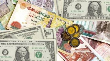 “العملة الخضراء ترتفع” سعر الدولار اليوم مقابل الجنيه المصري في السوق السوداء الثلاثاء 8 أكتوبر 2024 وفي البنوك المصرية