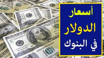 سعر الدولار في البنك اليوم الأربعاء 2 أكتوبر 2024 وفي السوق السوداء