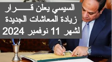 التأمينات الاجتماعية تكشف .. حقيقة زيادة المعاشات في نوفمبر 2024 وكيفية الاستعلام عنها