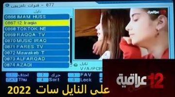 ‘‘ Installation‘‘ تردد قناة 12 عربية العراقية بجودة  HD على نايل سات وعرب سات