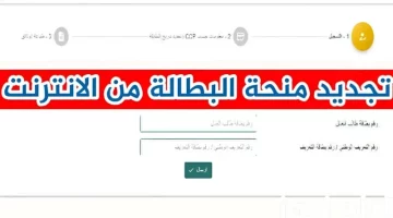 الوكالة الوطنية تكشف.. رابط التسجيل في منحة البطالة 2024 بالجزائر وشروط الاستفادة من المنحة