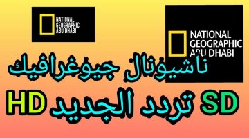 استمتع بحياة البرية .. تردد ناشيونال جيوغرافيك أبو ظبي الجديد عبر النايل سات 2024 بدون تقطيع