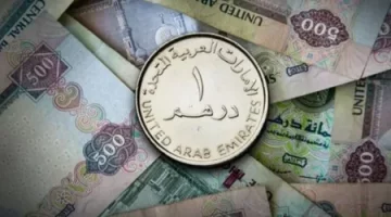 استقرار سعر الدرهم الإماراتي أمام الجنيه المصري اليوم الاثنين 7 أكتوبر 2024 والسوق السوداء