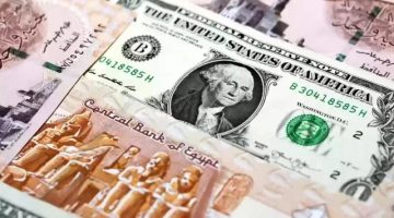 اليكم سعر الدولار مقابل الجنيه المصري اليوم الثلاثاء الموافق 8/10/2024 في السوق السوداء وفي البنوك