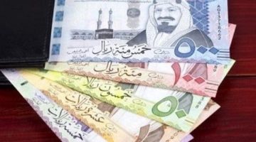 500 ريال سعودي كم جنيه مصري؟ .. بكام سعر الريال السعودي مقابل الجنيه المصري اليوم الأربعاء 2 أكتوبر 2024 في السوق السوداء