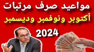 وزارة المالية المصرية تحدد.. موعد صرف مرتبات شهر أكتوبر 2024 لجميع العاملين في القطاع العام