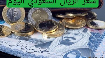 “أحدث التحديثات”.. تعرف على سعر الريال السعودي مقابل الجنيه المصري اليوم السبت 16 نوفمبر 2025