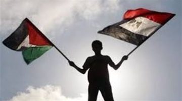 قضية فلسطين لم تغب لحظة عن أجندة السياسة الخارجية المصرية