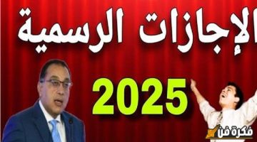 مفاجأة سارة للملايين في مصر: 11 يوم إجازة في يناير 2025! عطلات رسمية تشمل البنوك والمدارس وهيئة البريد والمصالح الحكومية. اكتشف موعد راحتك الآن!