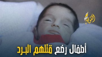 7 أطفال رُضع تجمدوا وقتلهم البرد القارس في الخيام جنوب قطاع غزة