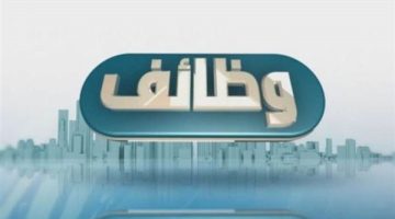 عاجل.. وظائف للشباب بمحافظة الجيزة.. تعرف على التخصصات وشروط التقديم