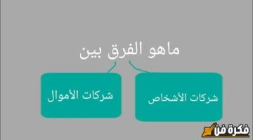 اكتشف الفرق الجوهري والمثير بين شركات الأشخاص وشركات الأموال؟! أسرار تجهلها قد تغير نظرتك للعالم التجاري!