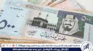 سعر الريال السعودي اليوم الاثنين 23 ديسمبر 2024 مقابل الجنيه ختام التعاملات