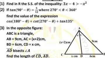 مراجعات
      نهائية..
      أسئلة
      تقييم
      الأسبوع
      الـ
      14
      الرياضيات
      Math
      الصف
      الأول
      الثانوي