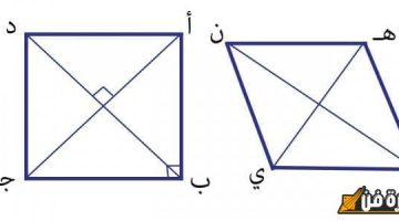 اكتشف سر محيط المربع ومساحته: كيف تحسب الأبعاد بدقة وأهمية ذلك في الرياضيات والحياة اليومية؟