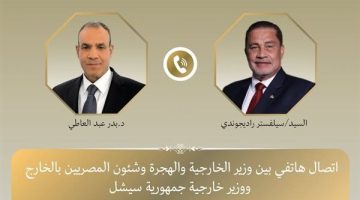 وزير الخارجية يجري اتصالا هاتفيا مع نظيره السيشلي لبحث العلاقات الثنائية