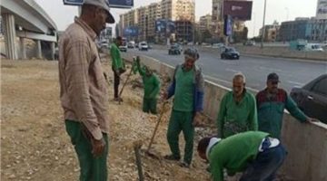 مشروع تشجير الدائري بالقاهرة الكبرى يستهدف تخفيف التكدس المروري