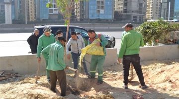 بدء أعمال المرحلة الأولى لتشجير الطريق الدائري