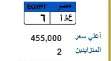 وصل سعرها ما يقرب من مليون جنيه.. المرور تطرح لوحات معدنية جديدة