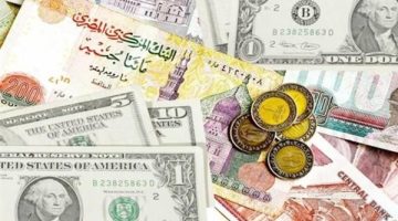 استقرار سعر الدولار أمام الجنيه المصري اليوم السبت 18 يناير 2025