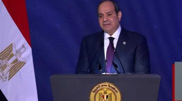 مصر عازمة على العمل مع الرئيس الأمريكي للتوصل لسلام منشود قائم على حل الدولتين