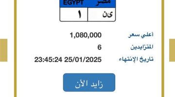 أكثر من مليون جنية.. المرور تطرح لوحة مميزة| تعرف عليها