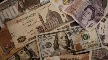 سعر الدولار اليوم الثلاثاء 28 يناير 2025 في البنوك المصرية