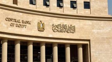 ارتفاع تحويلات المصريين بالخارج لـ29.6 مليار دولار فى 2024