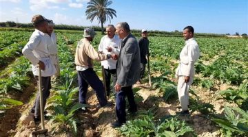 الزراعة تكثف جهودها الإرشادية لتنمية القطاع الزراعي ودعم المزارعين بمحافظة مطروح