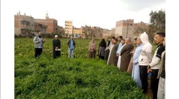 تكثيف الجهود الإرشادية للمحاصيل الاستراتيجية وتنمية القطاع الزراعي