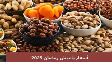 أسعار ياميش رمضان 2025.. استقرار في الأسعار وتنوع في الخيارات