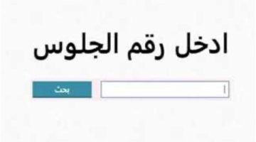 نتيجة الشهادة الإعدادية 2025 بالسويس.. نسبة النجاح 85.3%