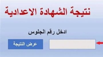 لينك نتيجة الشهادة الإعدادية برقم الجلوس 2025.. ظهرت خلاص