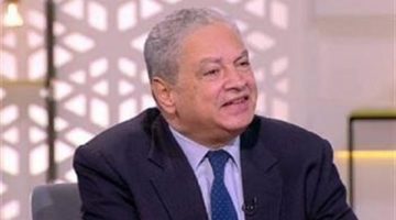 مصر بذلت جهودا مكثفة لإنفاذ المساعدات الإنسانية إلى غزة