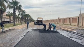 تنفيذ مشروعات برج العرب الجديدة وفق الجداول الزمنية المقررة