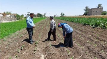 متابعة إنتاجية المحاصيل الزراعية بالمراكز