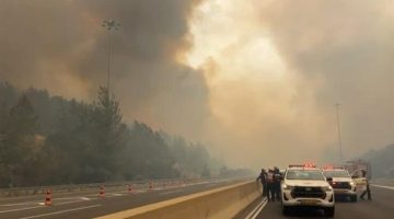 حريق يلتهم منطقة جبال القدس بإسرائيل وإعلان حالة التأهب القصوى