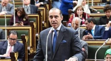 التنسيق بين الحكومة والبرلمان ضروري لنجاح العملية التشريعية والرقابية