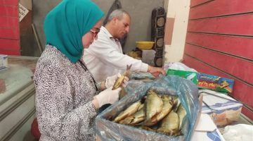 محافظ بني سويف يوجه بتكثيف الحملات على الأسواق تزامنًا مع احتفالات شم النسيم