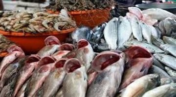 أسعار السمك اليوم الأحد 4 مايو 2025.. القائمة بالتفصيل