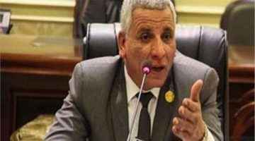 مصر حققت الكثير من الإنجازات في عهد الرئيس السيسي
