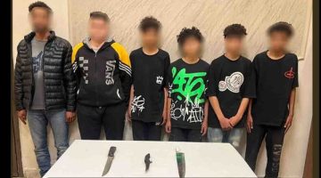 كشف ملابسات تداول فيديو لحركات استعراضية وحيازة أسلحة بيضاء بالقليوبية