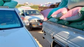 توريد 46168 طن قمح لشون وصوامع البحيرة منذ بداية الموسم