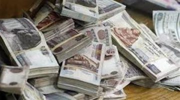 هل زيادة المرتبات الشهر المقبل؟ بيان الحكومة يحسم الجدل ويعلن موعد التطبيق
